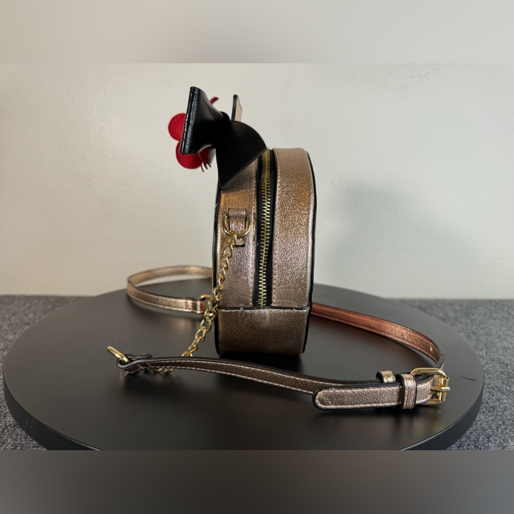 Danielle Nicole Disney Beauty And The Beast Belle… - image 4